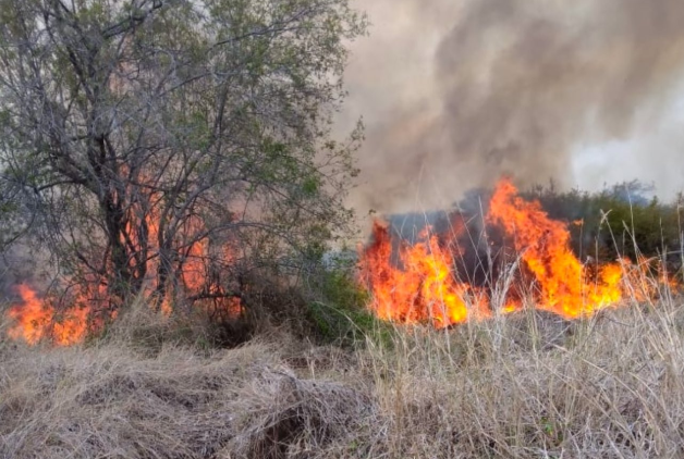 Isiolo wildfire