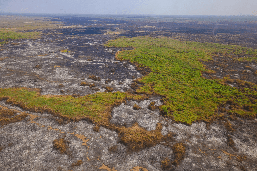 The aftermath of wildfire in Isiolo County. PHOTO/@InteriorKE/X