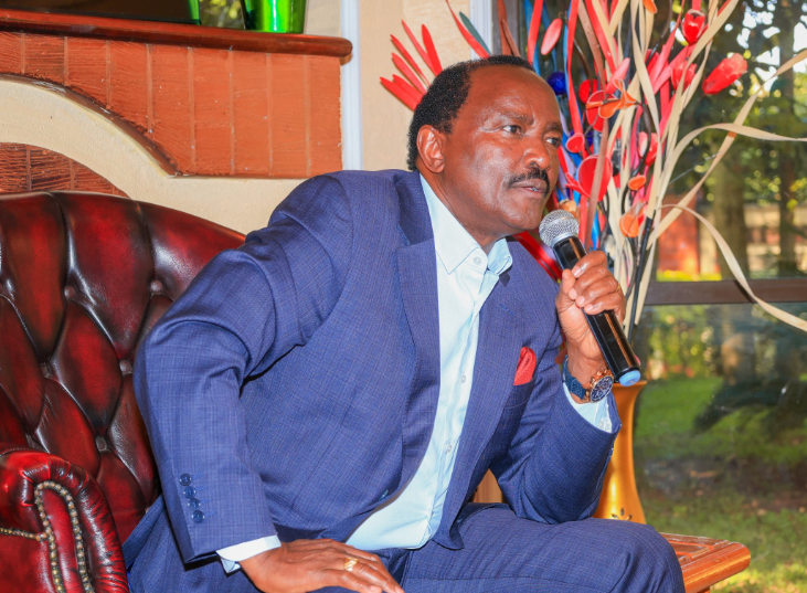 Wiper party leader Kalonzo Musyoka speaks during a past function. PHOTO/@skmusyoka/X