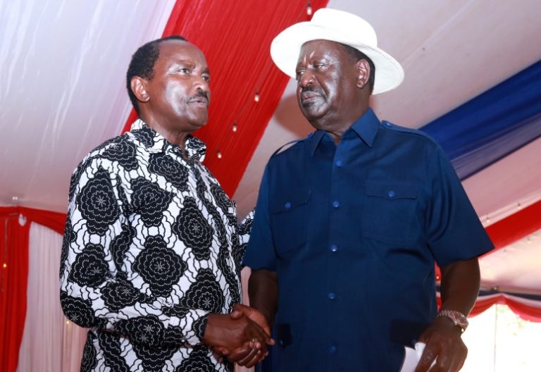 Kalonzo throws his weight behind Raila’s candidacy on the eve of AUC elections