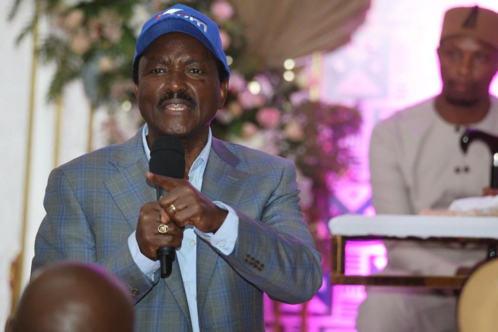 Wiper Leader Kalonzo Musyoka addressing lawyer Ndegwa Njiru's wedding attendees. PHOTO/@skmusyoka/X